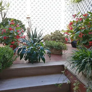 Da Francesca A Casa vacanze Pisa